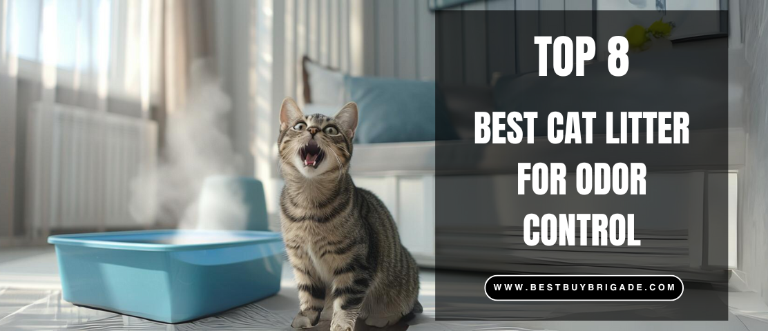 8 Best Cat Litter For Odor Control