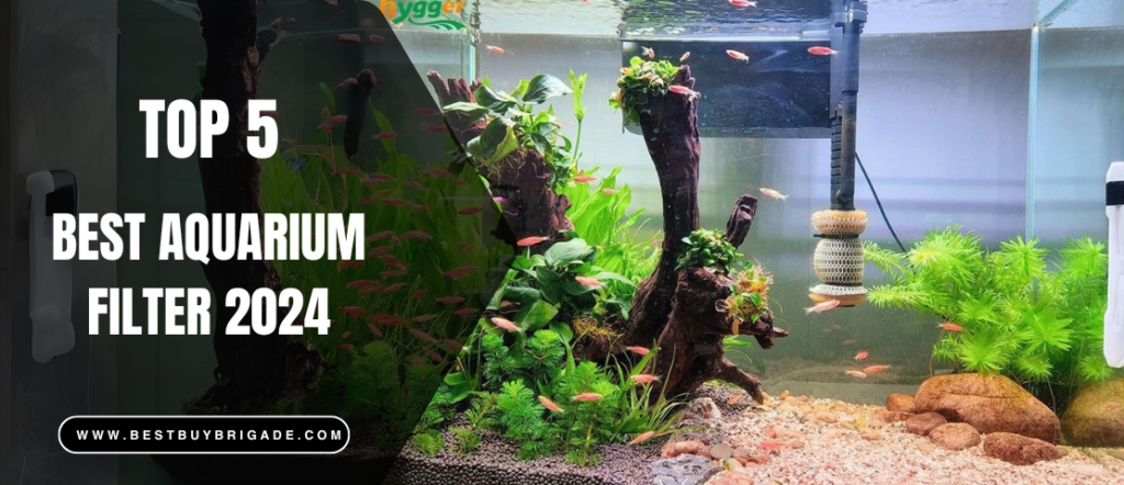 Best Aquarium Filter