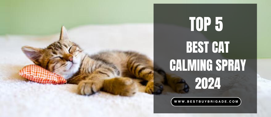 Best Cat Calming Spray