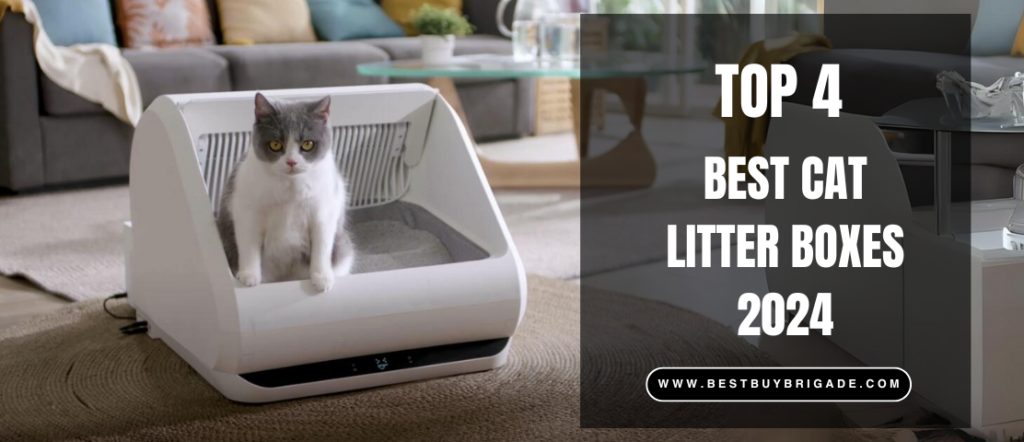 Best Cat Litter Boxes