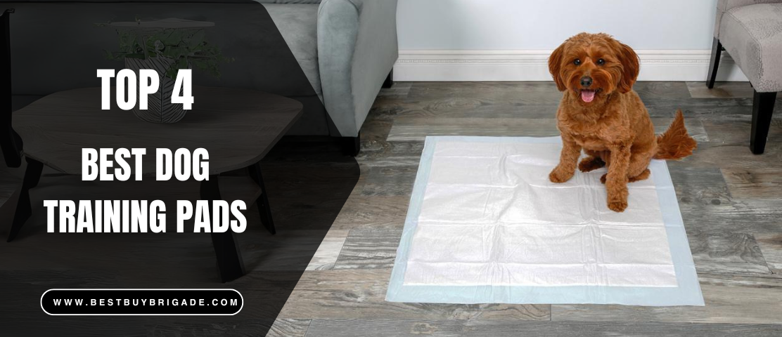 Best Dog Training Pads