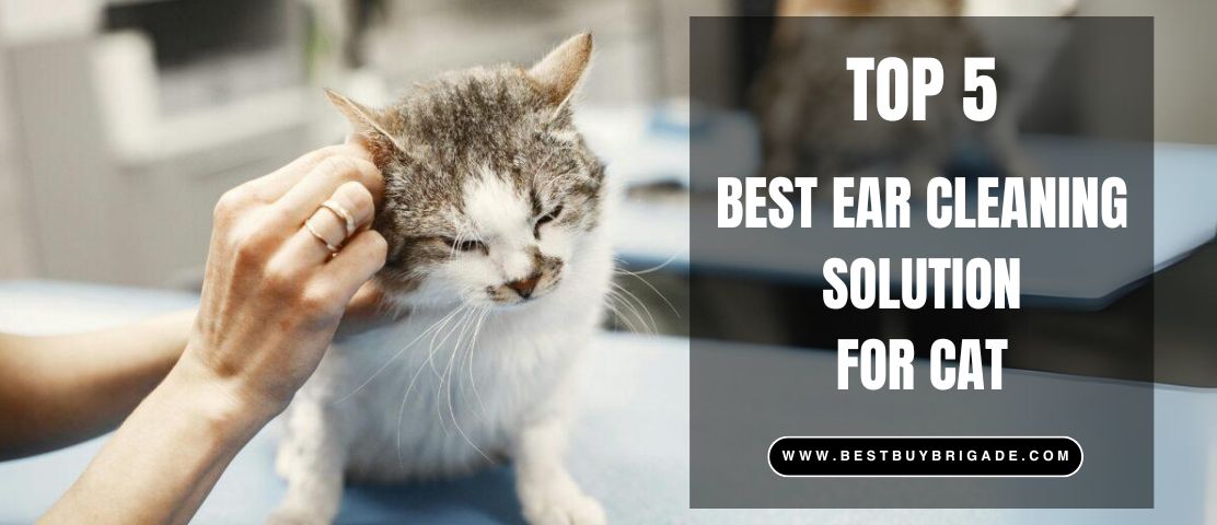 Best Ear Cleaning Solution For Cats