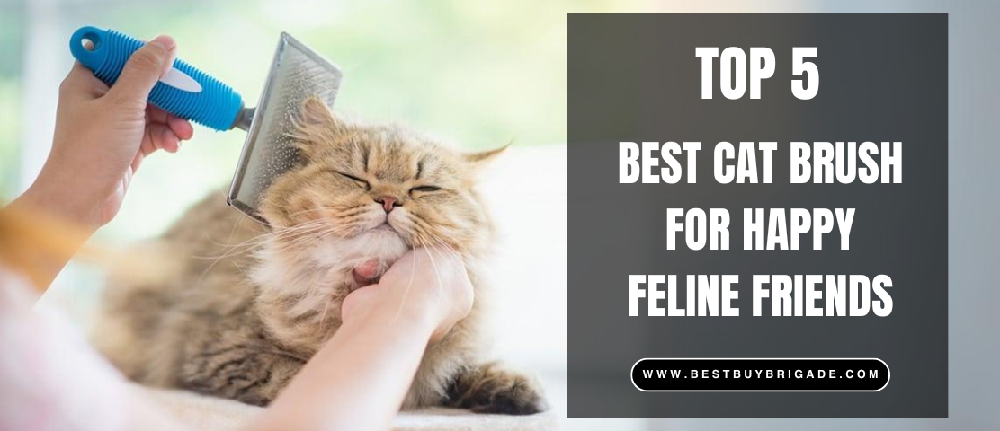 Best Cat Brush for Happy Feline Friends