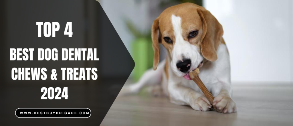 Best Dog Dental Chews and Treats 