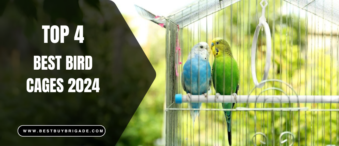 Best Bird Cages