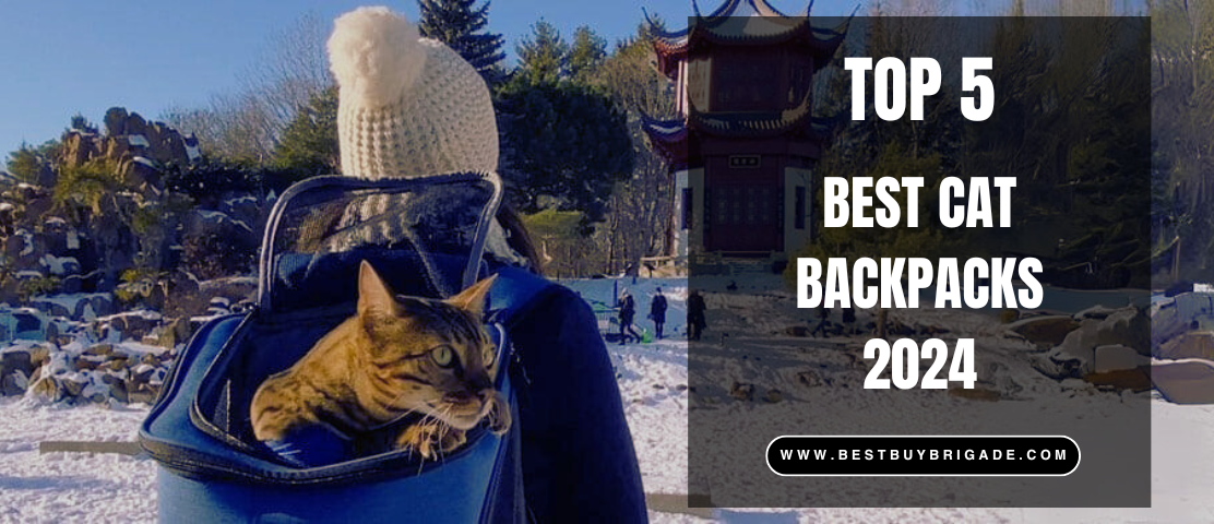 Best Cat Backpack